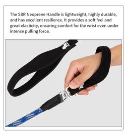 Rope Slip Lead for Dogs
