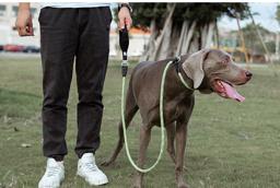 Rope Slip Lead for Dogs