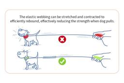 Short Bungee Dog Lead