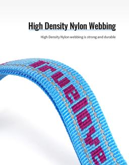 Reflective Dog Lead with Extra Grip Positions