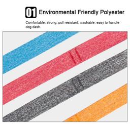 Eco Friendly Recycled Material Pet Leash