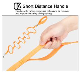 Eco Friendly Recycled Material Pet Leash