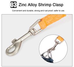 Eco Friendly Recycled Material Pet Leash