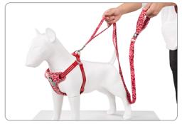 Floral Dog Lead with Multiple Handles