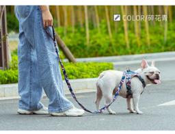 Floral Dog Lead with Multiple Handles
