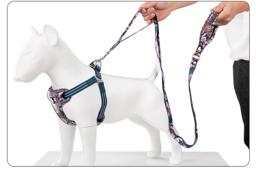 Floral Dog Lead with Multiple Handles