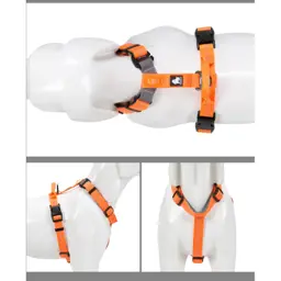 Adjustable Reflective Neoprene-Padded Dog Harness