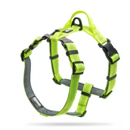 Adjustable Reflective Neoprene-Padded Dog Harness