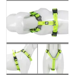 Adjustable Reflective Neoprene-Padded Dog Harness