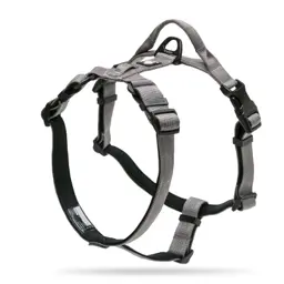 Adjustable Reflective Neoprene-Padded Dog Harness