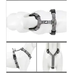 Adjustable Reflective Neoprene-Padded Dog Harness