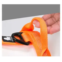 Adjustable Reflective Neoprene-Padded Dog Harness