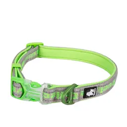 Reflective Neoprene Dog Collar with Embroidered Logo
