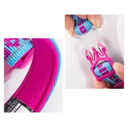 Reflective Neoprene Dog Collar with Embroidered Logo