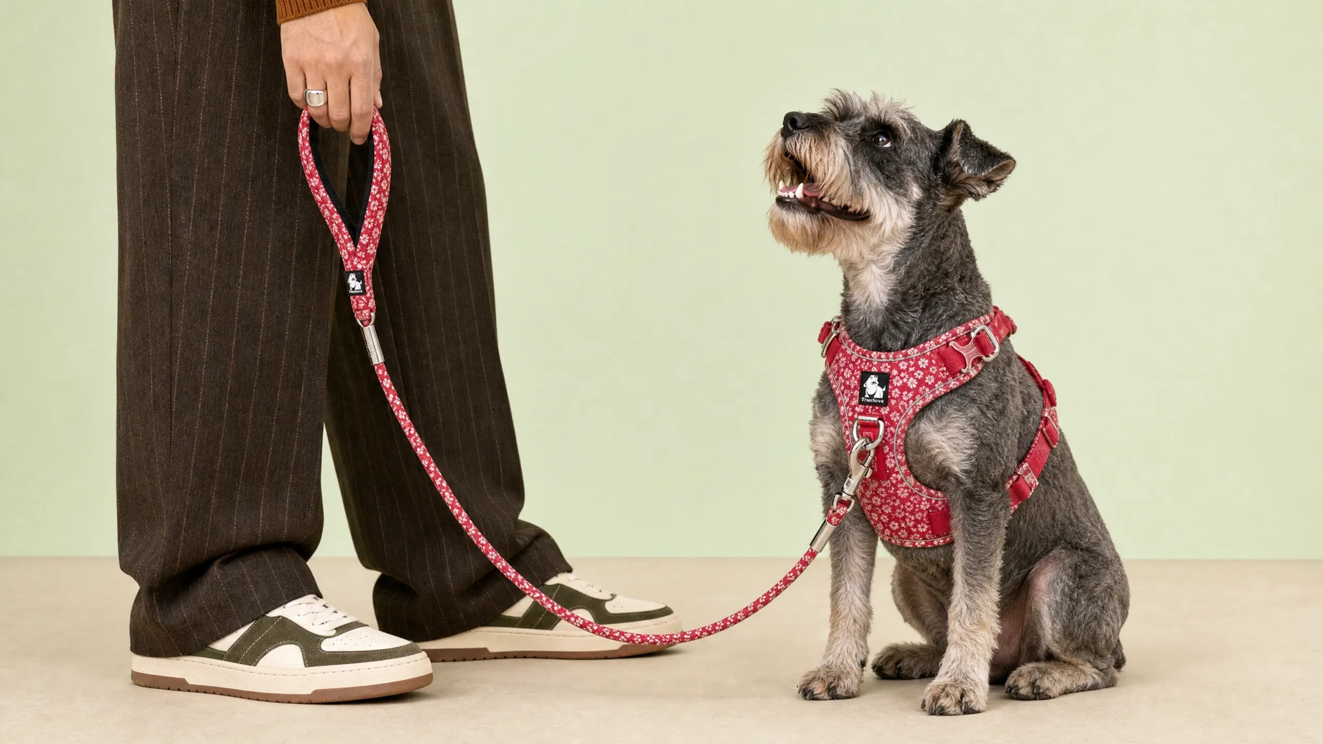 How to Keep Your Dog Cool During Malta's Summer Heat