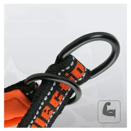 Adjustable Reflective Nylon Dog Collar