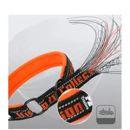 Adjustable Reflective Nylon Dog Collar